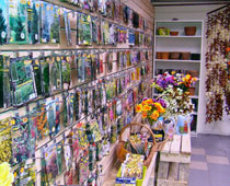 магазин семян и растений